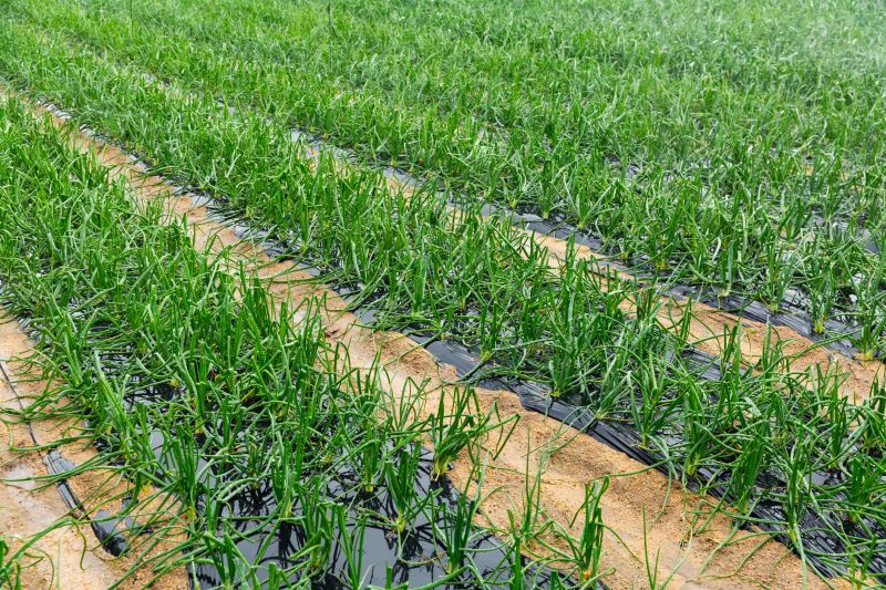 Agricultural Appraisal Service