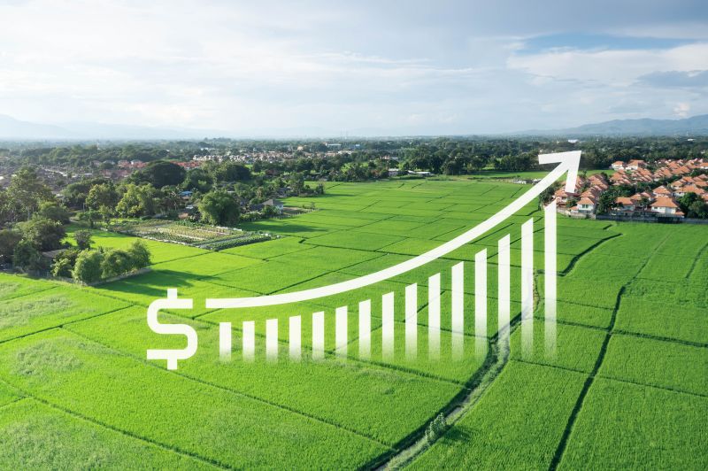 Agricultural Appraisal Service