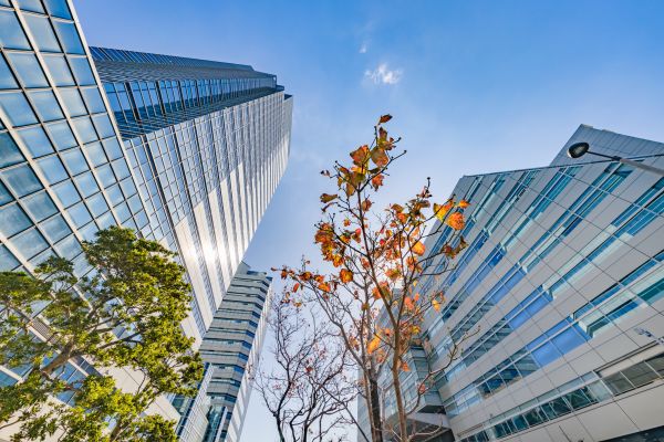 Commercial Property Appraisal