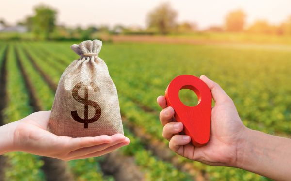 Property Appraisal Service